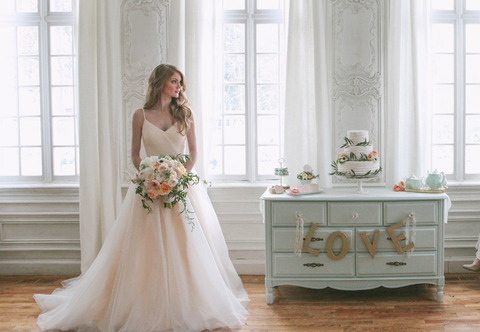 blush-ballgown-wedding-dress-photo-by-jacque-lynn